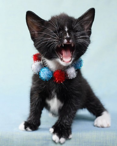 Ginsberg v. New York