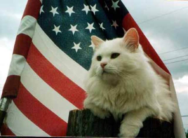 Blanton v. North Las Vegas