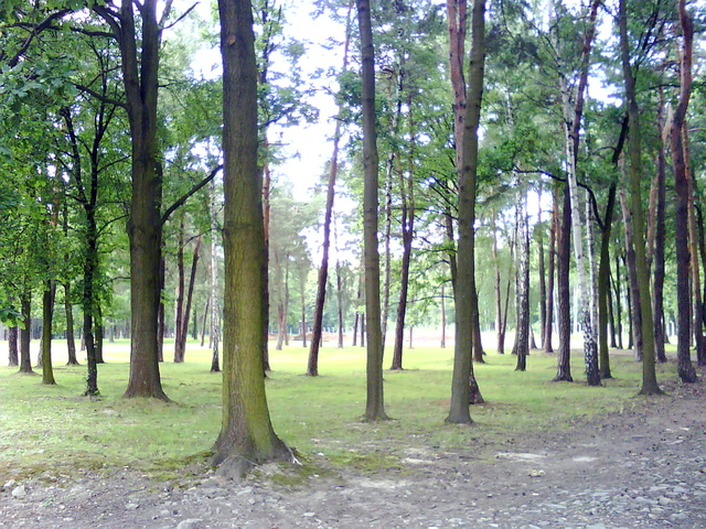 Taylor Moved Outside Of Cumberland Beach