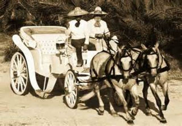 Horse Drawn Carriages