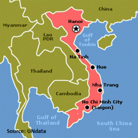 Vietnam bans Chinese chicken