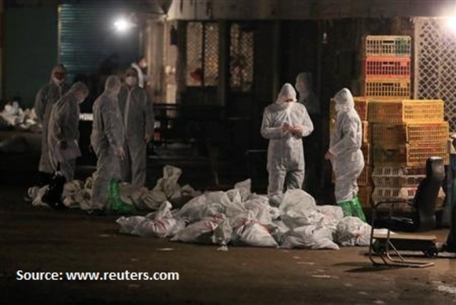 Shanghai culls over 20,000 birds in one night.