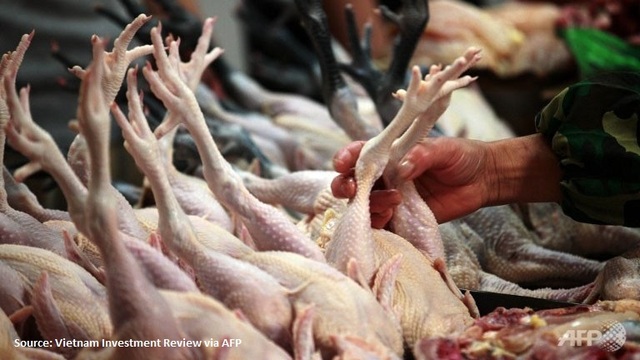 Consumers urged to shun chicken