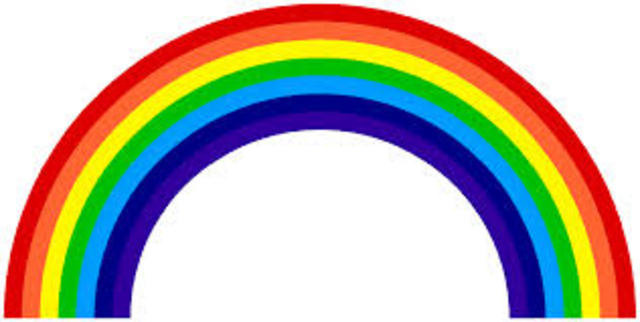 Week 8: Field Check-in