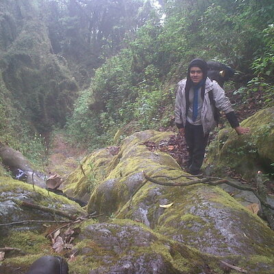 Timeline: La Calidad y Mi Vida