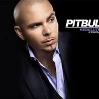 Timeline: PITBULL