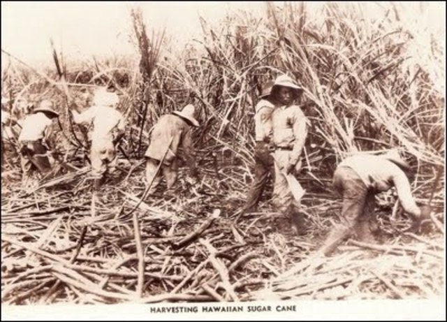 Hawaii becomes a US territory