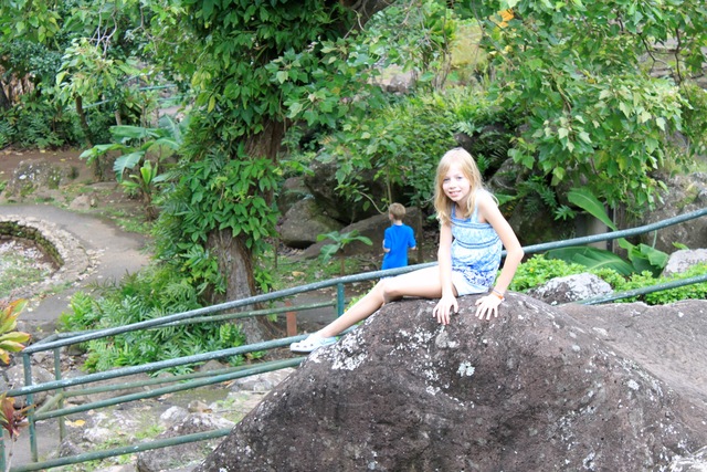 Family trip to Hawaii