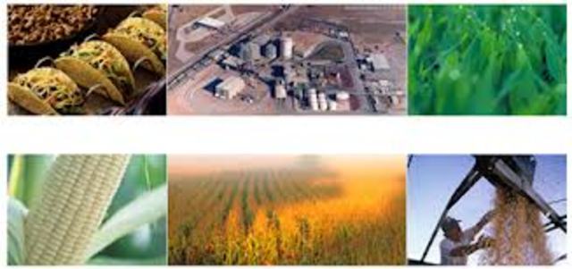 SECCION DE INVESTIGACION INDUSTRIAL Y AGRICOLA