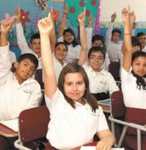 La Profesionalizacion