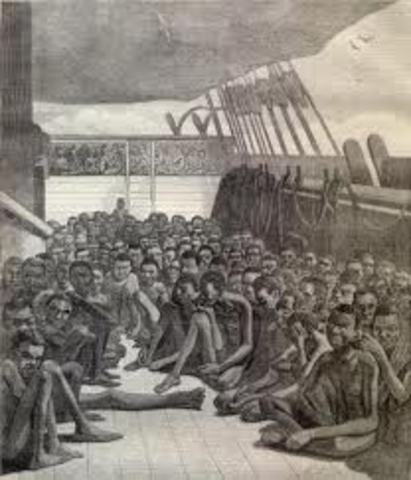 Slave Trade Beginnings