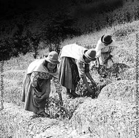 Labor and the Middle Class