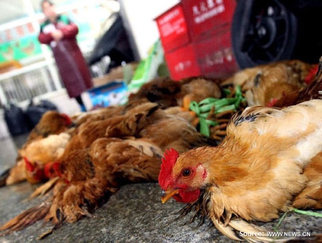 Poultry biz loses 10 billion Yuan