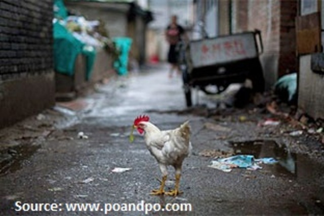 Tallied bill of H7N9