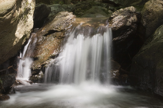 La première vraie photo
