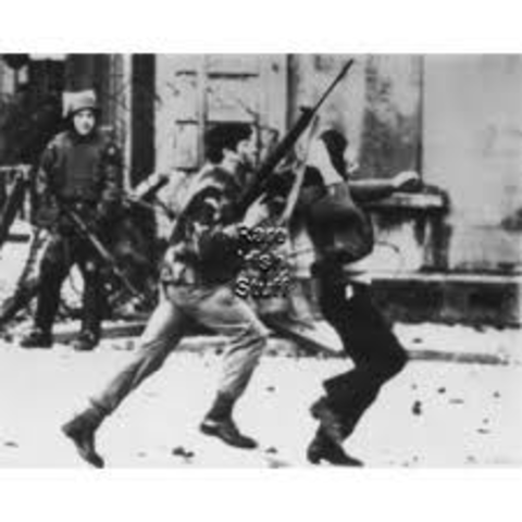 Civil Rights Marcher