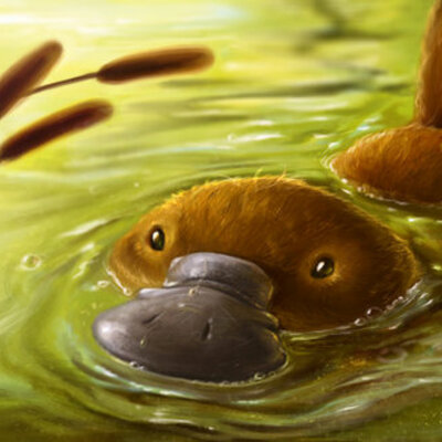 Timeline: Platypus Project