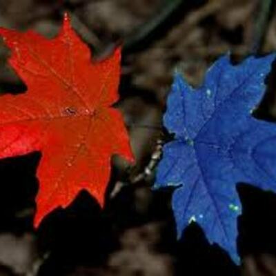 Timeline: Two Solitudes - French Canada