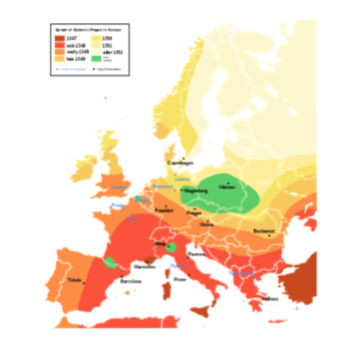 The Bubonic Plague reaches Europe