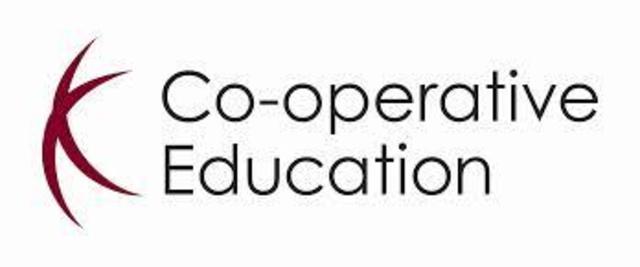 Special school Experience(s)