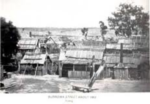 Gold is discovered at Lambing Flat(now Young) in New South Wales