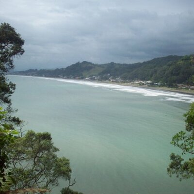 Timeline: Reading log 2013