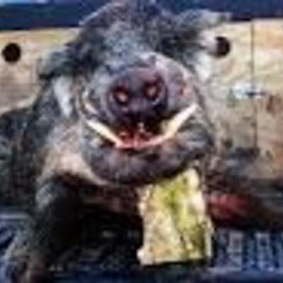 Timeline: Reading Log 2013