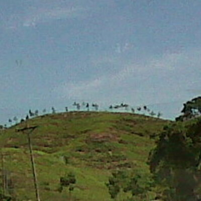 Timeline: PALMAMEILYNNCTCT2