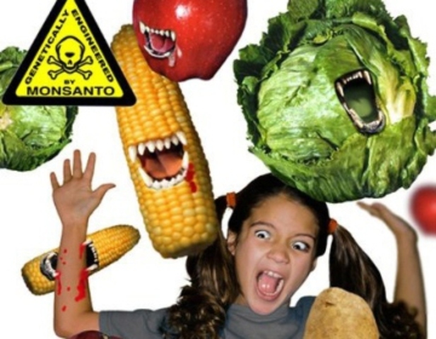 Permiso para usar semillas transgenicas