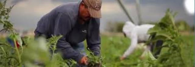 Nace la Seccion de Investigacion Industrial y Agricola