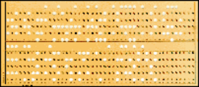Tarjetas perforadas