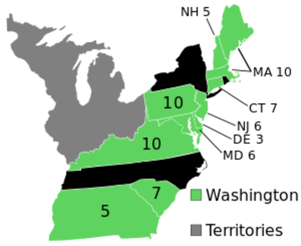 Adams is Elected Vice President