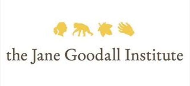 Jane Goodall institute (unknown day)