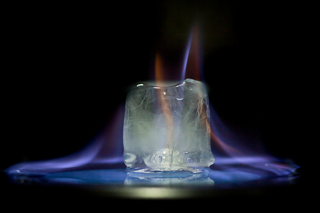 Nanotecnología. Nanocelulosa