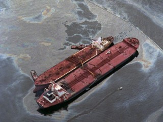 Exxon Valdez Oil Spill