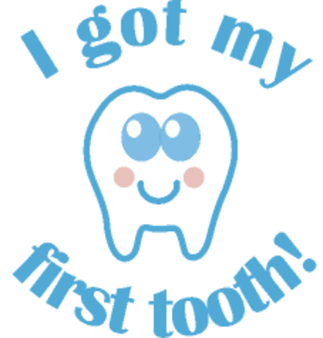 First Tooth