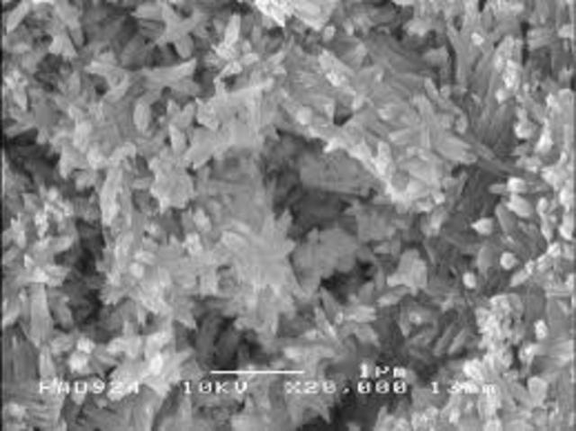 Biomaterial. Hidroxiapatita.