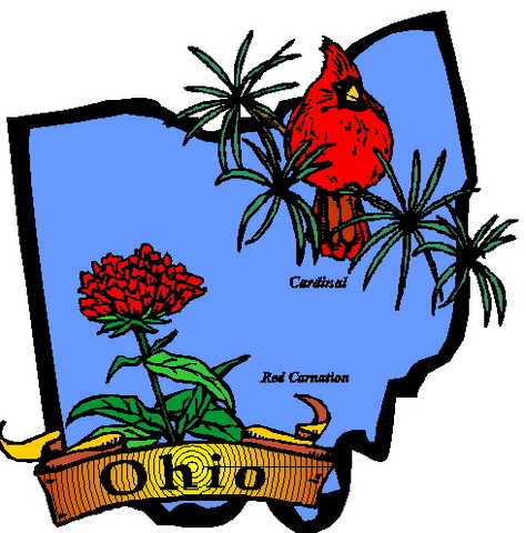 Ohio becomes a state