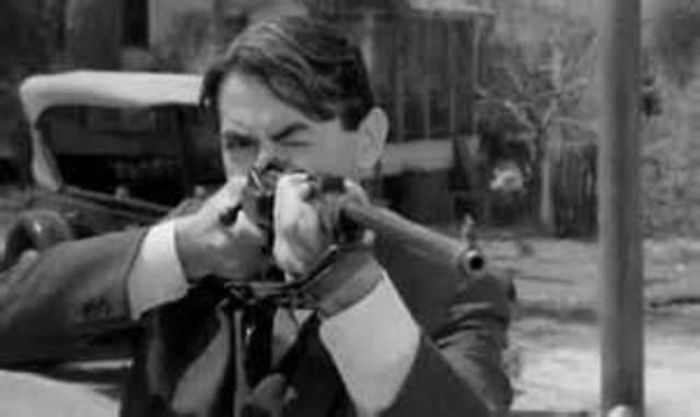 Aticus shoots the rabid dog