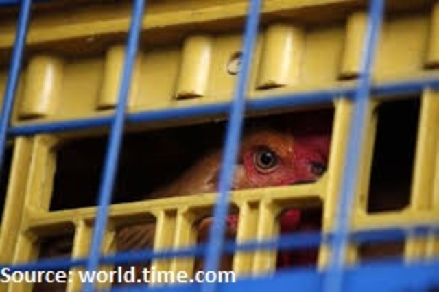 H7N9 is a mutant virus