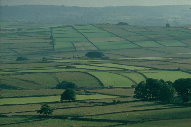 Enclosures being used