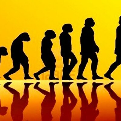 Timeline: Linea del tiempo