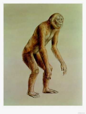 Ramapithecus