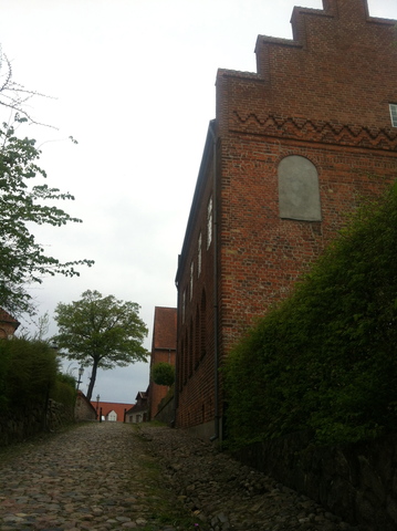 Tugt- og manufakturhuset åbnes