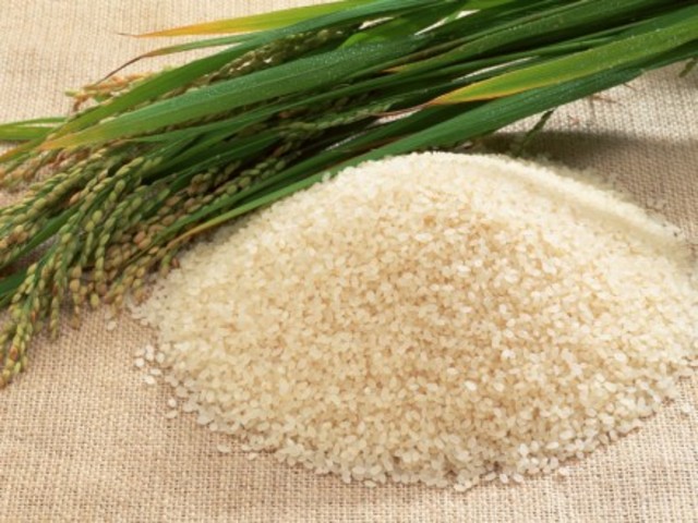 Researchers sequence the DNA of rice, the first plant to have its genome decoded.