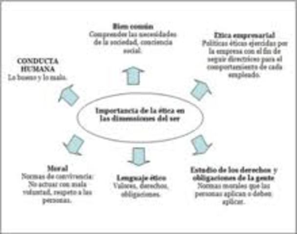 primer principio ético