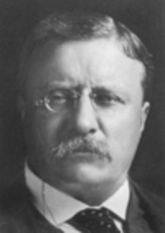 President Theadore Roosevelt