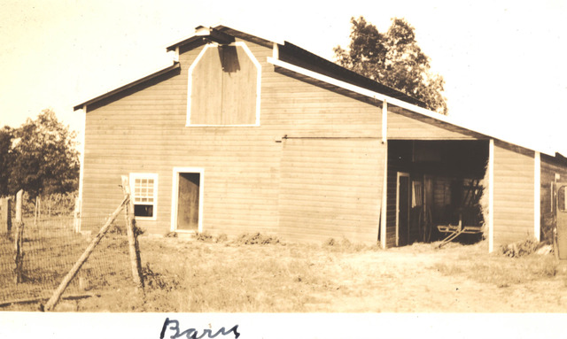 Curley's wife comes into the barn where Lennie is with the dead dog. She tells him about how she could have been an actress but ended up marrying Curley instead.