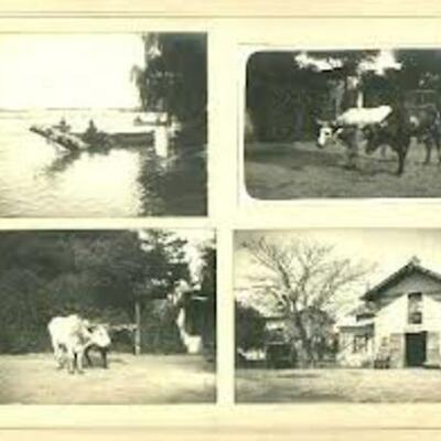 Timeline: Evolucion de la Fotografia