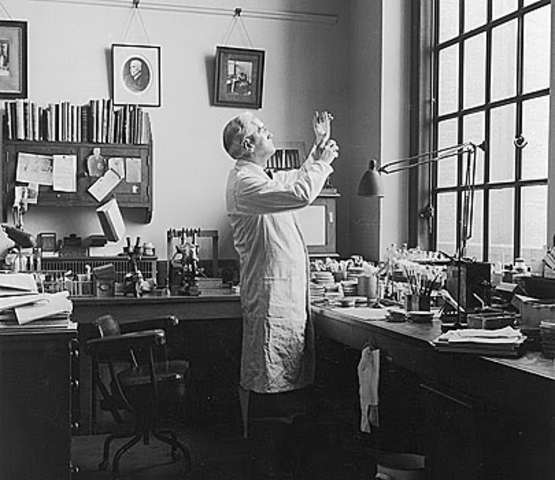 Discovery of Penicillin